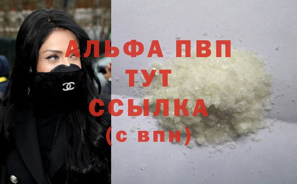 гашик Ельня