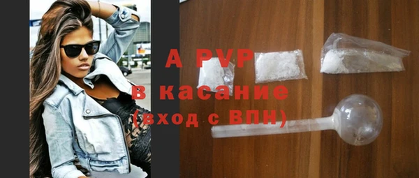 гашик Ельня