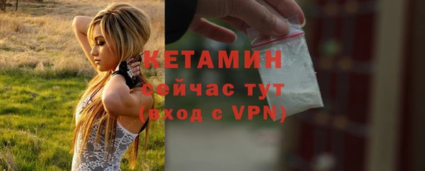 гашик Ельня