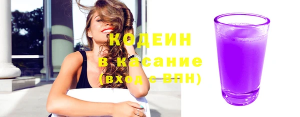индика Заволжье