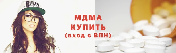 индика Заволжье