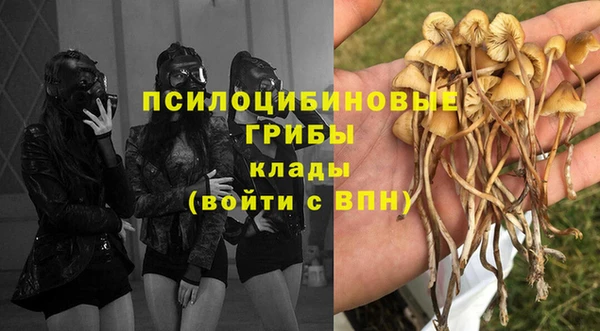 индика Заволжье