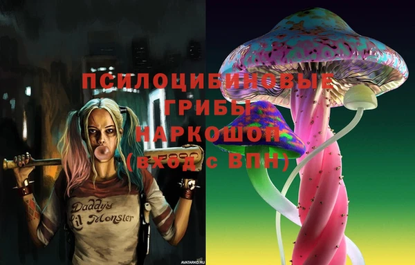 индика Заволжье