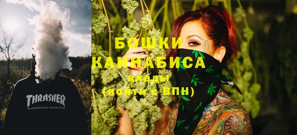 гашик Ельня