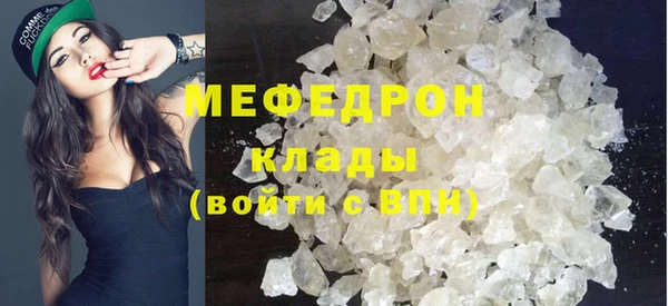 гашик Ельня