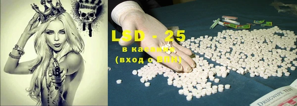 индика Заволжье
