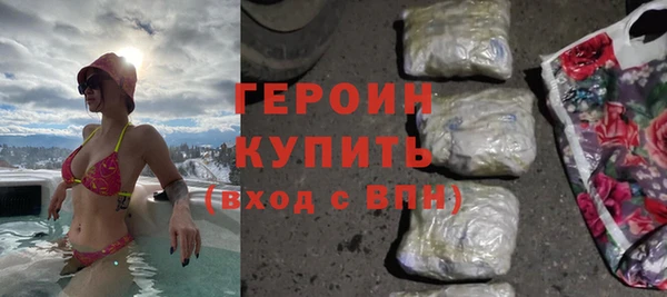 гашик Ельня